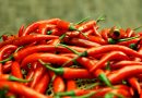 Comprendre les différents niveaux de piquant des piments